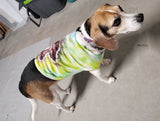 Shroom Dog Tank